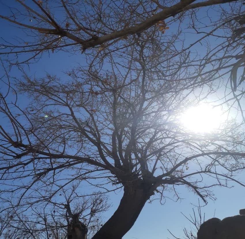 تصویر مقاله
