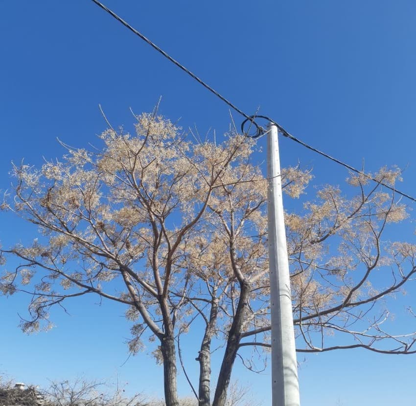 برگزاری مسابقه عکاسی با موبایل با موضوع طبیعت